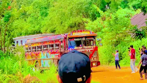 හෝලි එක සරසන්න ආපු 