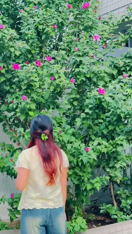 🌷🥀#fyp #gorkha #roshani 