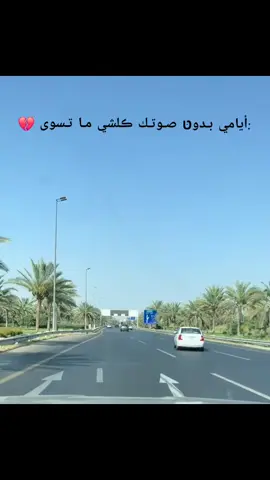 #صباح_الحب_والسعاده #صباح_الحب #صباح_العظمه #صباحكم_سعادهـ🌸🍃 #نجف_بغداد_حله_ناصريه_كربلاء_كركوك_تكريت 