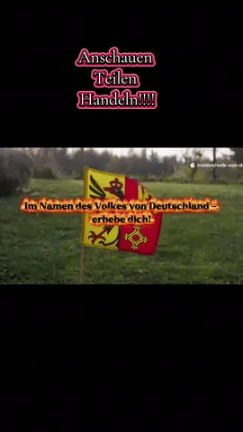 #f  #viral  #deutschland  #TikTok  #fyp 