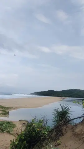 sukabumi tuh banyak tempat yg cantik,salasatunya di ujung genteng,dengan pasir putihnya,gradasi air laut dri jernih,hijau,sampai biru,dan terdapat penangkaran penyu juga. #ujunggenteng #pasirputih #pantaipangumbahanujunggenteng #sukabumi #fyp 