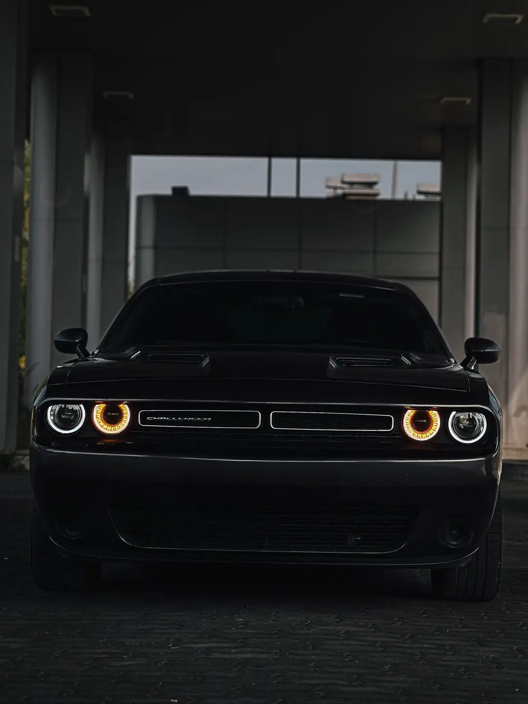 🚘 Dodge Challenger 2016 ⚡ 3.6L V6 | 136 300 км 🎨 Сірий колір | Тканинний салон 🇺🇸 Пригнаний з Америки 🔊 Стоїть вихлоп – приємний звук, стиль є. Авто доглянуте, їде чітко. Готовий до нових власників. #fyp #fypシ #рекомендації #длятебе #viral 