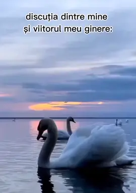 De ce mă întrebi?🤣#Meme #MemeCut #CapCut #fyp #100kviews 