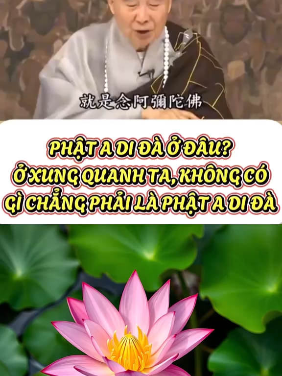 TRONG TÂM CHỈ CÓ PHẬT A DI ĐÀ