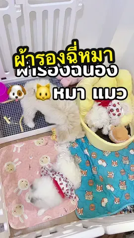 ซักได้ มีกันลื่น ลายน่ารัก #แผ่นรองฉี่สัตว์เลี้ยง #ผ้ารองฉี่สุนัข #tiktokป้ายยา #ผ้ารองฉี่สัตว์เลี้ยง  