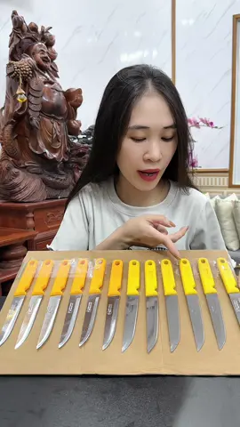 Hộp 12 dao kiwi gọt hoa quả, gọt trái cây #daogothoaqua #daogottraicay #daokiwi #daothailan #nhung1m45 giá có thể thay đổi khi hết khuyến mãi