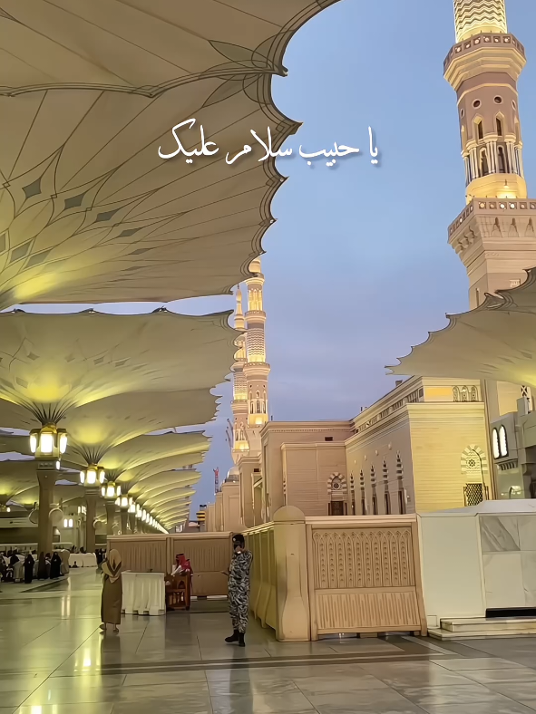 🤍...انت نور الله فجراً #mystic_heart10 #islamic_video #yanabisalamalaika #maherzain #nasheed #naatstatus #yarasoolallah #islamicstatus #12rabi_ul_awal #rabiulawalstatus #sallallahu_alaihi_wa_sallam 