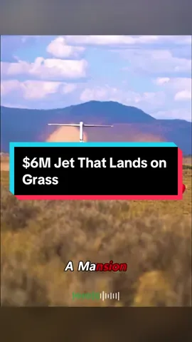 $6M Jet That Lands on Grass #PrivateJet #AviationFacts #LuxuryLife #EngineeringMarvel #FYP