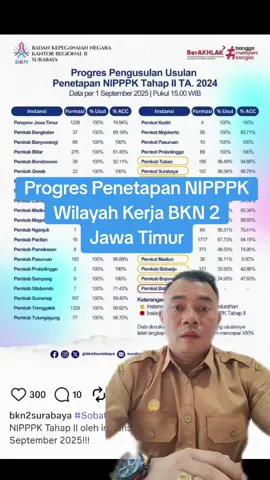 Progres penetapan NIPPPK untuk wilayah Jawa Timur. #pppk #surabaya #jawatimur #bkn #kemenpanrb 