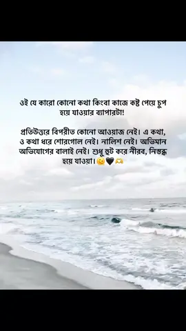 ওই যে কারো কোনো কথা কিংবা কাজে কষ্ট পেয়ে চুপ হয়ে যাওয়ার ব্যাপারটা! প্রতিউত্তরে বিপরীত কোনো আওয়াজ নেই। এ কথা, ও কথা ধরে শোরগোল নেই। নালিশ নেই। অভিমান অভিযোগের বালাই নেই। শুধু হুট করে নীরব, নিস্তব্ধ হয়ে যাওয়া।🫶🖤 #foryou #foryoupage #fypシ゚viral #minnequeen #unfrezzmyaccount @TikTok Bangladesh 