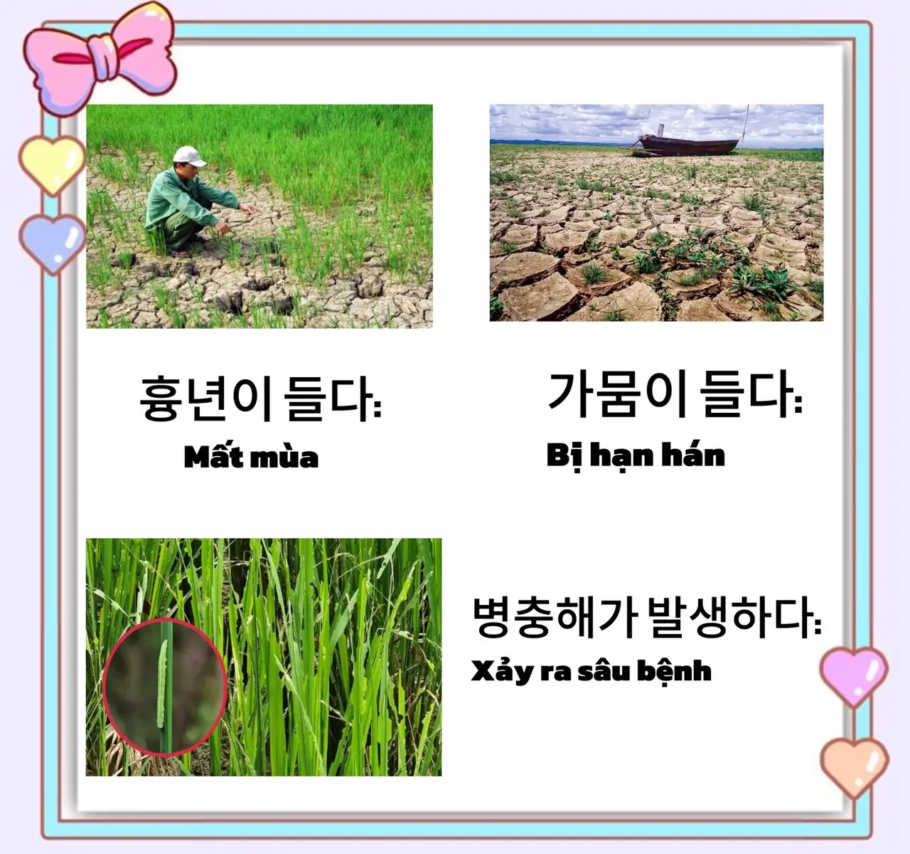 Từ vựng tiếng hàn về chủ đề 농사#mọingười #tuvungtienghan #한국어 #viraltiktok #tienghanmoingay🇰🇷 