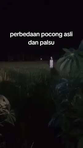#pocong #pocongtiktok #hantu #penampakan  #penampakanhantu 