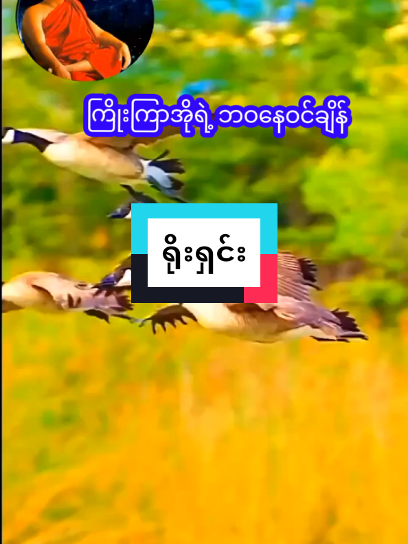 #တရားတော်များ #ရိုးရှင်း #foryou #fypage #foryoutiktokအကျိုးရှိတယ်ဆိုရင်ပြန်လည်မျှဝေလိုက်ပါ❤️🌷 