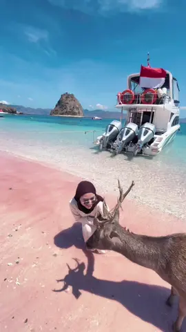 bangun-bangun di labuan bajo🥺❤️#labuanbajo #flores #pinkbeach #ntt #CapCut 