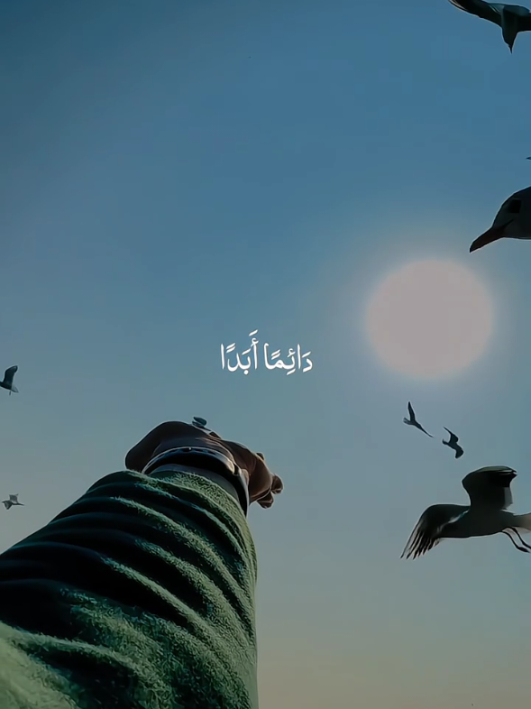 Mawlaya Salli Wasallim🫠💞🎧❤️‍🩹 . . #nasheed #viral #allah #fyp #muhammadpbuh