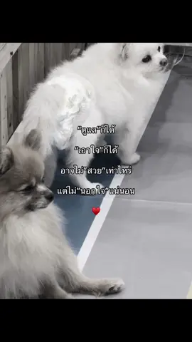 ไม่นอกใจชัวร์์์์ . . . . . .#เธรด #ฟีดดดシ #เธรดคลั่งรัก #fyppppppppppppppppppppppp 