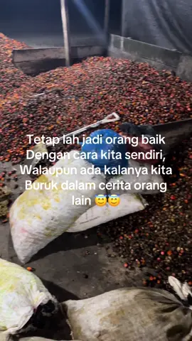 Ya kek gitulah.. #viral #fyp @belboy99 @kelasberondolan76 @4j03d4n_l1nt45 @Tito AD @Brondolan balap @anak Lanang @🅰️wandilangit @Arsya alfatih @idris4785 