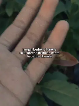 #fypシ #viral #petanimuda 