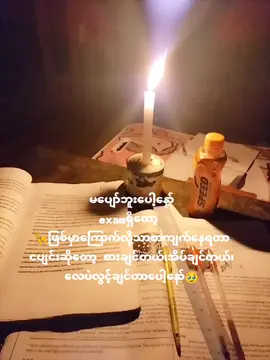 🦮ဖြစ်မှာကြောက်လို့စာကျက်နေရတာ🥹#foryoupage#fypシ #viewsproblem