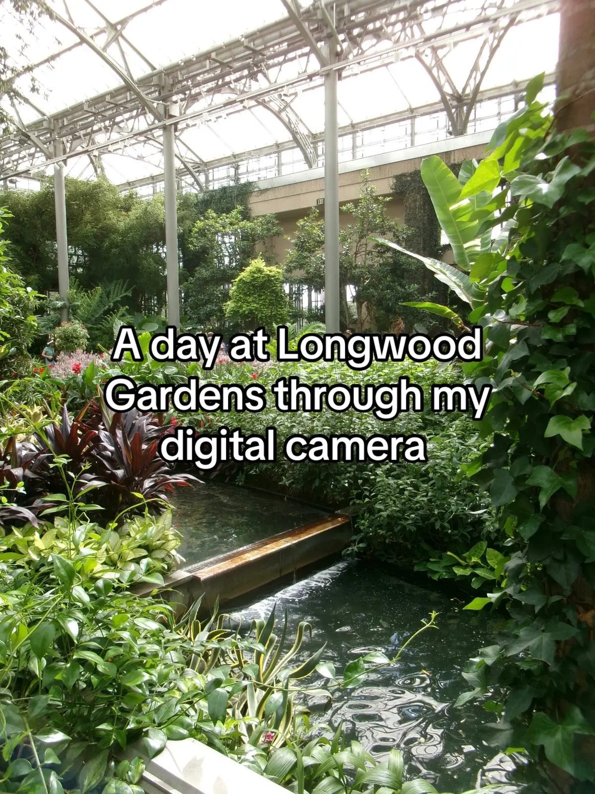 I can’t wait to go back every season to see it all! #longwood #longwoodgardens #plantsoftiktok #longwoodgardenspennsylvania #digitalcamera 