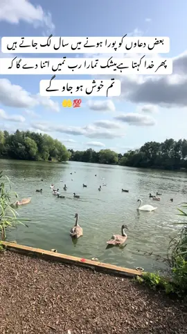 #guldaste #foryou #fyp #tiktokuk🇬🇧🇵🇰 