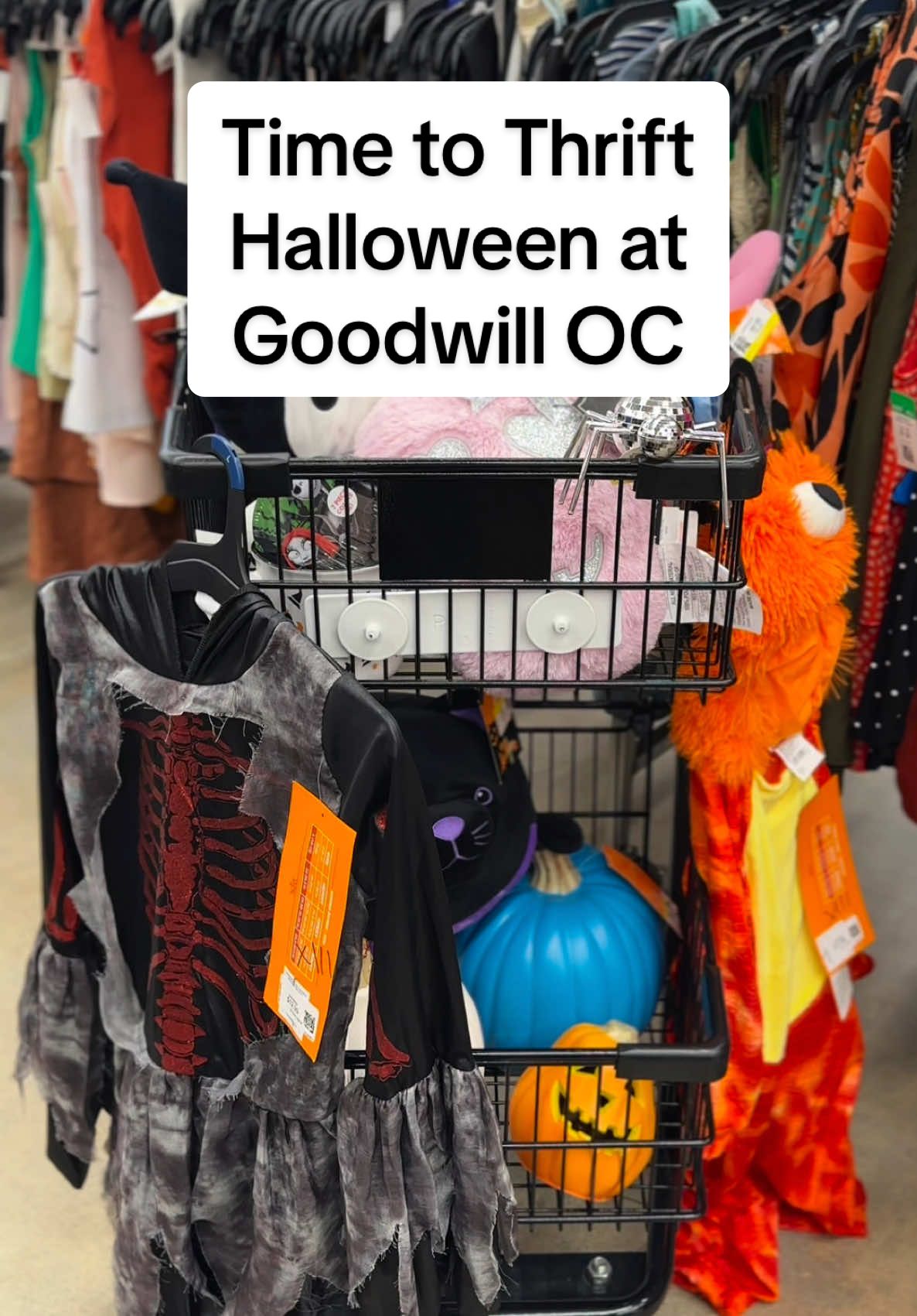 The spooky council has spoken! It is with great pleasure that we declare spooky season officially open here at #GoodwillOC. 🎃 #thriftoween #thrifthalloween #halloweenatgoodwill #spookyszn 