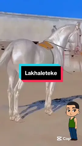 #lakhalteke#🇫🇷🇫🇷🇫🇷🇺🇸🇺🇸🇺🇸🇺🇸like 