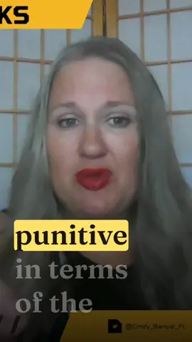 The U.S. system is very punitive towards immigrants. It’s not like that in other countries. Trust me. I’ve been an illegal immigrant in 2 different countries. Listen to my story on Dr. Cindy Speaks from Big Mouth Media. #florida #politics #immigration #massdeportation #politicalviolence 