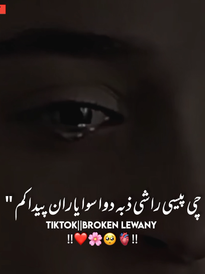 Che Ta Da Bl Sho Ve Zba Znla 🥹❤️‍🩹#foryou #foryoupage #viralvideo #hellotiktok #pashtopoetry @🌸 𝗥 𝗜 𝗭 𝗪 𝗔 𝗡 🌸 