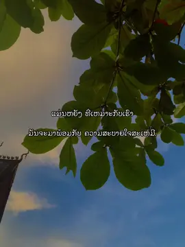 ສ່ວນ 20 #1 #เทรนด์วันนี้tiktok #ดันขึ้นฟีดที #ยืมลงสตอรี่ได้ #สตอรี่ความรู้สึก #เธรดแทนความรู้สึก #ฟีดดดシ 