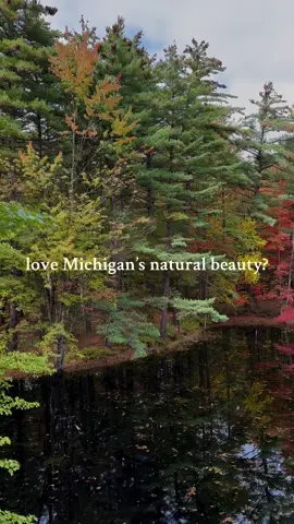 Fossil fuel corporations continue to threaten both Michigan’s natural landscapes and its people by extracting and exploiting in increasingly toxic ways. You can help us fight to make clean energy more accessible and advance the clean energy transition here in Michigan - become a member at glrea.org  #cleanenergy #climateaction #greatlakes #fossilfuels #michigan 