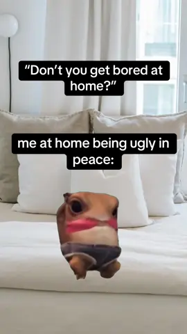 #Meme #MemeCut 