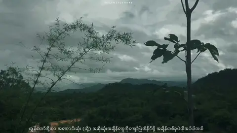 ဆရာအောင်ချိမ့်ပြောသလိုပါပဲ “တစ်ခါတစ်လေ ငြိမ်ငြိမ်ကလေးထိုင်ပြီး မိမိရဲ့အဆင်မပြေခဲ့ပုံတွေကိုပြန်လည်တွေးတောရတာ ပျော်စရာကောင်းပါတယ်”တဲ့ ကျွန်တော်တို့ဘဝကြီးမှာ အကောင်းတွေကြုံကြိုက်တဲ့ခါလဲစိတ်ပျော်ရွှင်ရသလို သေမတတ် စိတ်ညစ်ရ စိတ်ဓာတ်ကျရတဲ့နေ့တွေရှိကြပါတယ်။ အဲ့လိုစိတ်ဓာတ်ကျစရာ စိတ်အားလျော့စရာနေ့တွေကို ဖြတ်ကျော်ပြီးတဲ့အခါမှာ ပျော်စရာ ရွှေအိုရောင်နေ့တွေရောက်လာတဲ့အခါ “ဪ တစ်ချိန်ကငါဒီလိုတွေပင်ပန်းခဲ့ပင်မယ့် အခုချိန်မှာကပျာ်ရွှင်နေရပါ့လား” ဆိုပြီးပြန်စဉ်းစာမိတဲ့အခါ ကျွန်တော်တို့ဘယ်လောက်ဖြတ်ကျော်နိုင်ခဲ့ကြောင်းဟာ ပျော်စရာ ဂုဏ်ယူစရာတွေပါပဲ စိတ်ညစ်စရာ ဝမ်းနည်းစရာတွေ အရာရာဟာ ခဏတာသာမို့ ရတဲ့အချိန်လေးမှာ မိမိကိုယ်ကိုကျေးဇူးတင်ရင်း စိတ်ချမ်းသာပျော်ရွှင်ရတဲ့နေ့ရက်တွေ အချိန်တွေပိုင်ဆိုင်ကြပါစေ တောင်းဆုပြုရင်း… #fyp #foryou #latenightthoughts #foggy #clouds 