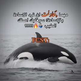 #creatorsearchinsights #creatorsearchinsights2025  @﮼فرج،العزومي| 𝔉𝔄ℜ𝔄🤎🚸 #جيسيكا 