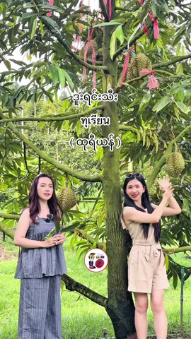 ဘယ်သူတွေကြိုက်လဲ? ဆရာမတော့လုံးဝမကြိုက်တဲ့အဖွဲ့က🤢#Khamkyin #learnthaimyanmarwithkhamkyin #learnthai #tiktokmyanmar 