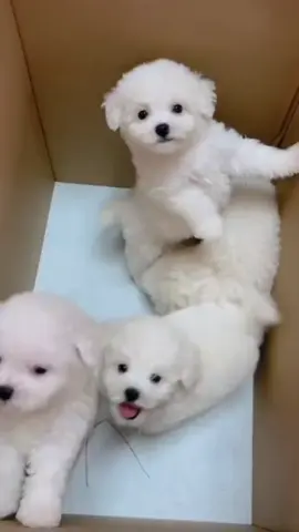 !