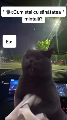 #Meme #MemeCut #CapCut 