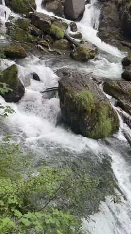 #nature #switzerland #😍😍😍😍😍😍 