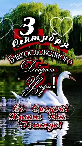 Доброе утро! #3сентября #ДОБРОЕУТРОНОВИНКИ  #среда 