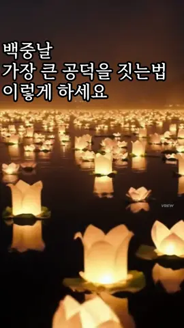 “백중은 조상님과 영가에게 공양과 기도를 올리는 특별한 날입니다. 오늘, 마음을 모아 기도하는 것이 가장 큰 공덕이 됩니다. 조상님과 영가가 환하게 웃을 수 있도록 함께 기도하세요 🙏✨”#백중  #영가천도 #불교명상 #힐링명상                