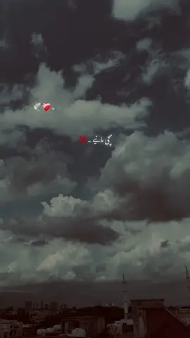 Koi apna nai-🙌🏻🥹#hehe-akhtar#viral_video #growmyaccount #poetry #status #aesthetic #unfreezemyacount #1millionaudition 