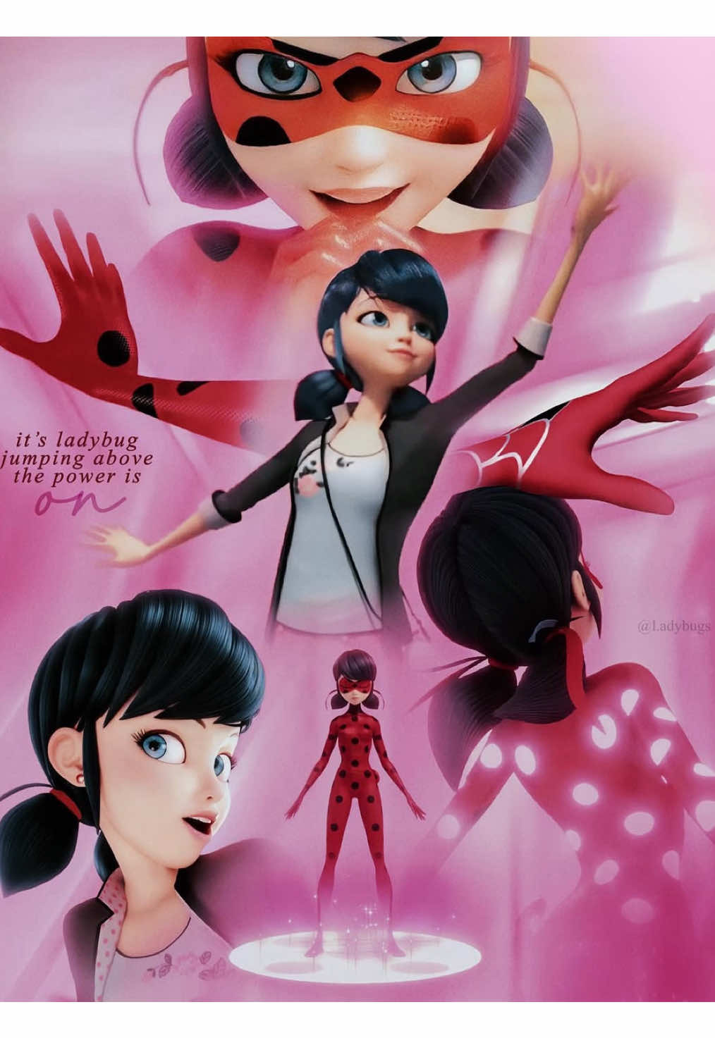 جالسه أعيده 🫩#miraculous #اكسبلور #foryoupage #ladybug #4u 