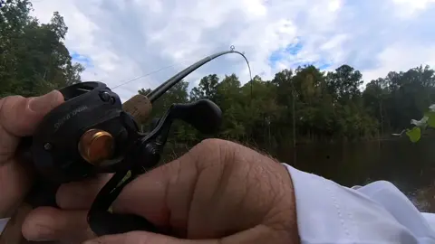 I caught another nice bass  #bassfishing #bigfish #lovealwayswins 