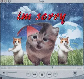 I’m sorry don’t leave me 💔#sillycatsoftiktok #sillycat #catsofttiktok #catlover #cattok 