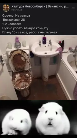 #мем #memes 