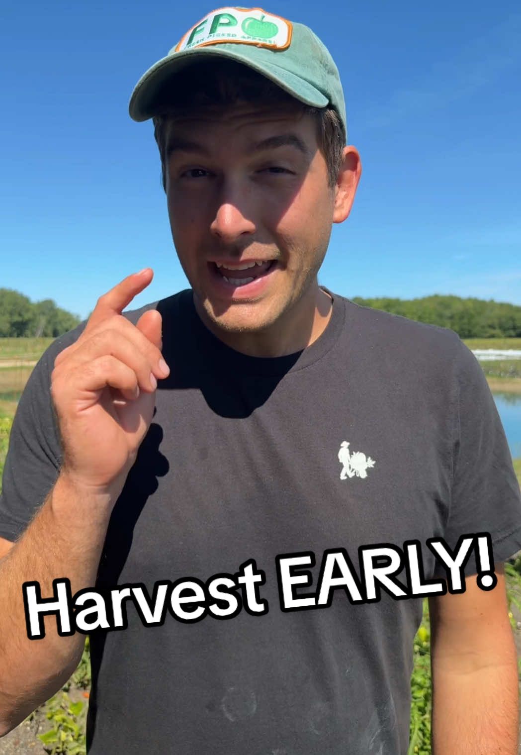 Harvest Early! #farming #gardening #farm #gardentoks #garden 