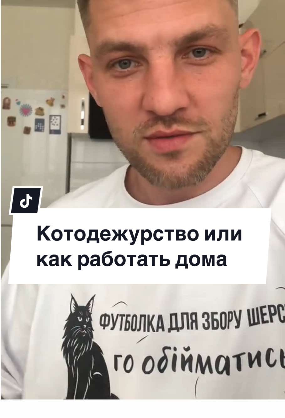🐾Когда твои коллеги — мейн-кун и сибиряк… Или Вот так выглядит настоящая корпоративная культура #котики #удаленка #котыприколы #мейнкун 