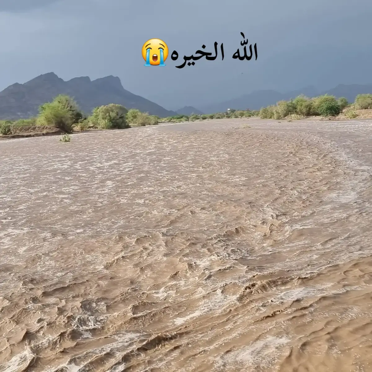 #مارب #وادي_حريب #ال #ابوطهيف 