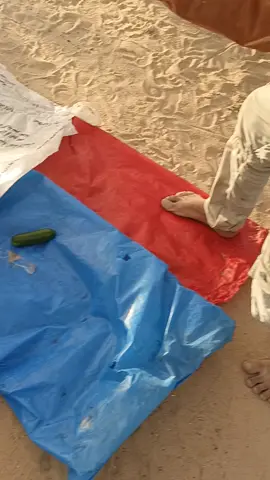 صلي ع النبي