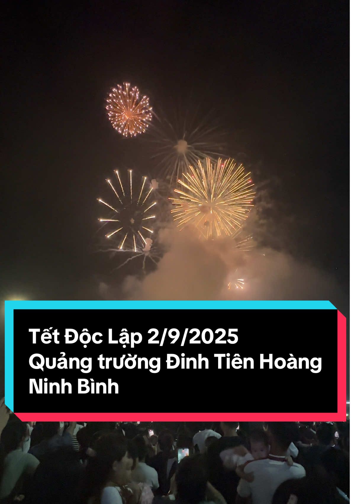 Điểm danh ảnh của các ní vừa đi xem văn nghệ và pháo hoa quảng trường Đinh Tiên Hoàng - Ninh Bình nào🇻🇳🤣 #a80 #xuhuong #quockhanh #videoviral #ninhbinh 